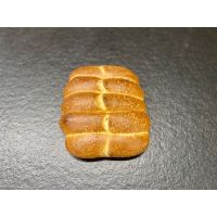 Tessiner